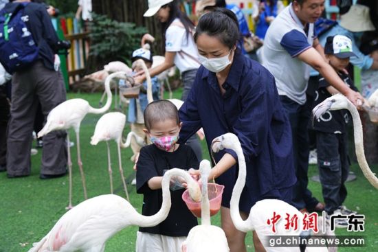 “微笑向陽(yáng)”公益活動(dòng)在穗舉行 助腫瘤患兒歡度兒童節(jié) 